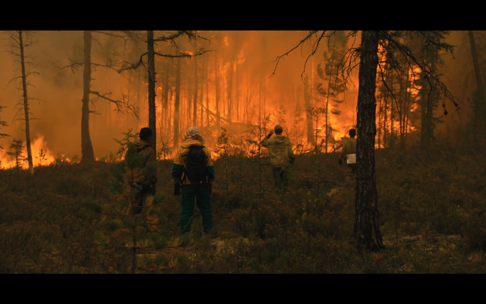 Fyra personer i en skog som brinner